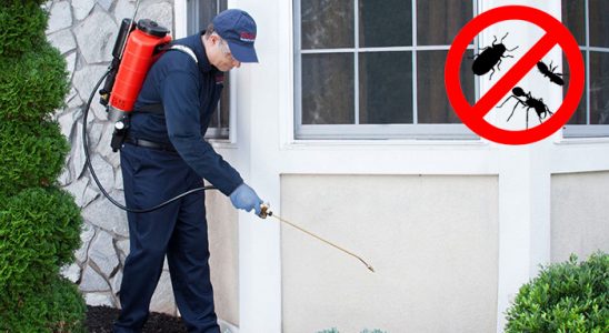 Çerkezköy Kemirgen İlaçlama böcek ilaçlama ve haşere kontrolü — ilaclama-tr.com